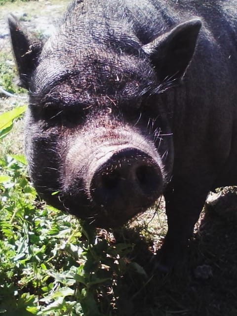 Etretat's Motel Country House in Normandy
