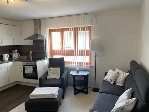 Kitchen or kitchenette, Living room, Seating area, stove