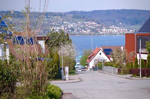 Lake view