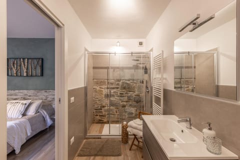 Shower, Bathroom, Photo of the whole room, Bedroom, towels