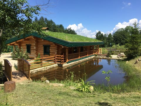 Summer, Area and facilities