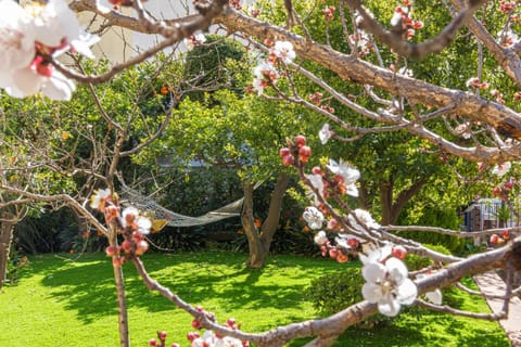 Spring, Garden, Garden view