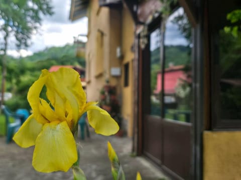 Property building, Restaurant/places to eat, Facade/entrance, Spring, Day, Summer, Garden, internet