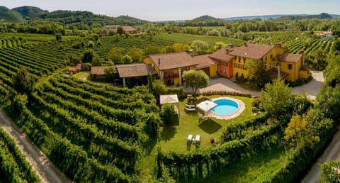 Bird's eye view, Garden, Garden view, Pool view, Swimming pool
