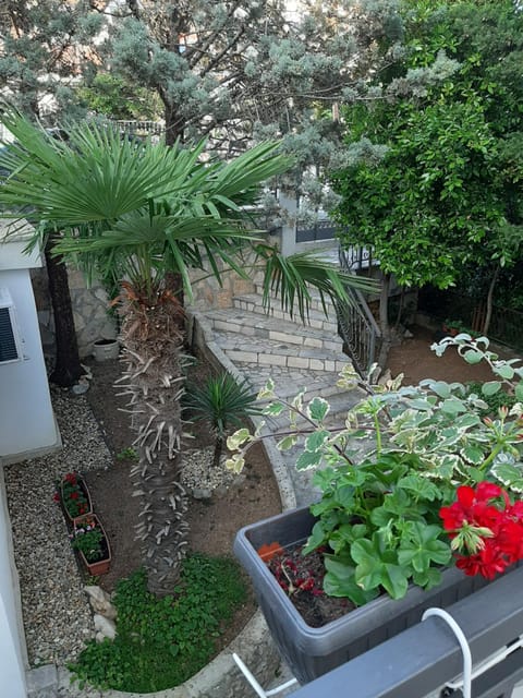 Patio, Inner courtyard view