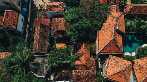 Garden, Balcony/Terrace