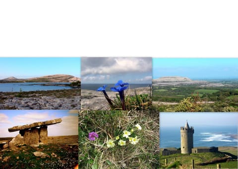 Nearby landmark, Neighbourhood, Natural landscape