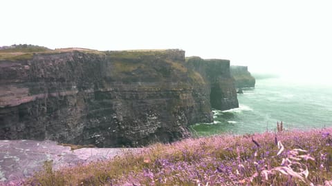 Nearby landmark, Natural landscape, Area and facilities