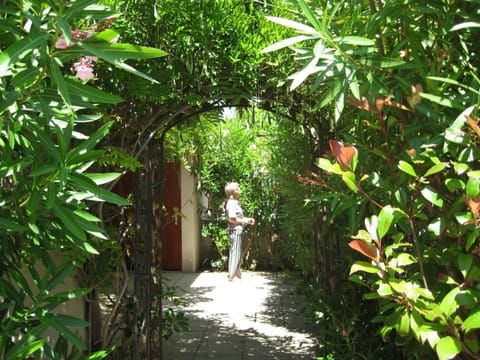Patio, Spring, Summer, Garden
