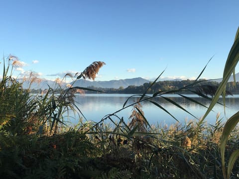 Lake view