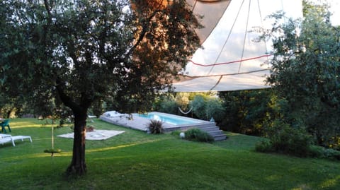 Garden, Swimming pool