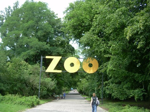 Nearby landmark, Neighbourhood, Animals
