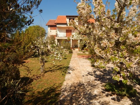 Patio, Facade/entrance, Spring, Off site, Garden, Garden