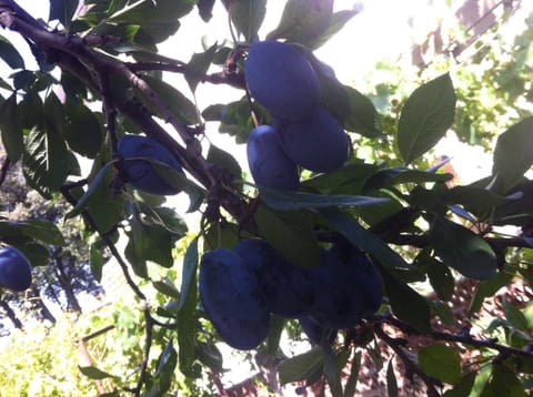 B&B Dai Nonni Bed and Breakfast in Comacchio