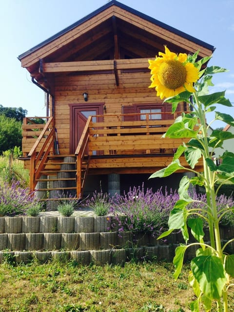 Property building, Facade/entrance, Garden
