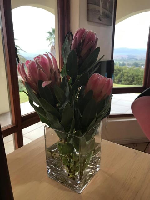 Bartons Wine Estate & Luxury Villas House in Western Cape