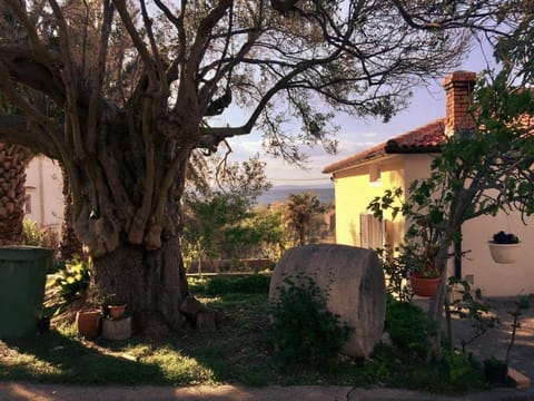 Patio, Neighbourhood, On site, Garden view