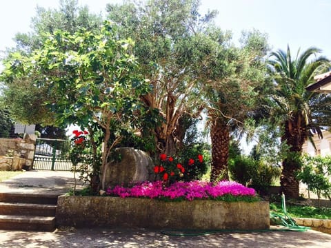 Patio, Spring, Day, Natural landscape, Garden, Balcony/Terrace, On site, Garden view