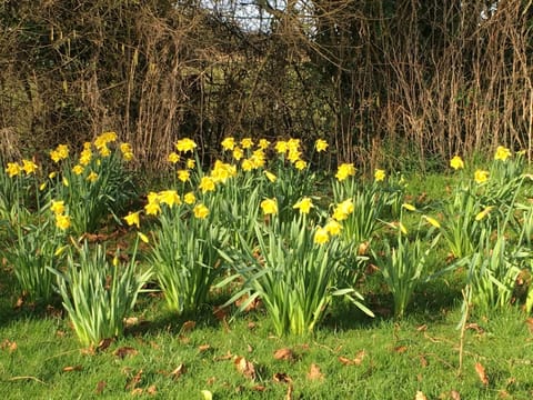 Wood Farm Kerdiston Bed and Breakfast in Reepham