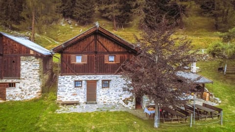Property building, Garden, Garden view