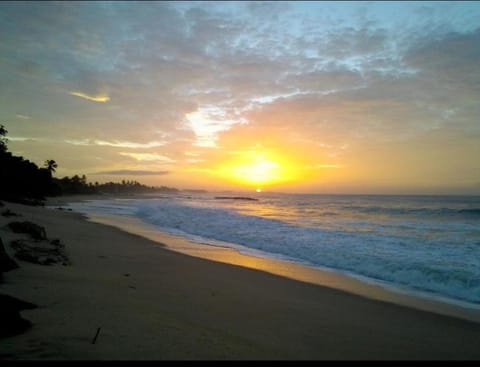 Natural landscape, Beach