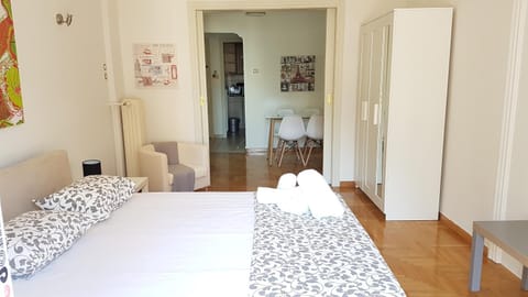 Errathens Wheat Apartment - Athens Center, 3 BD, 1 BATH Apartment in Athens