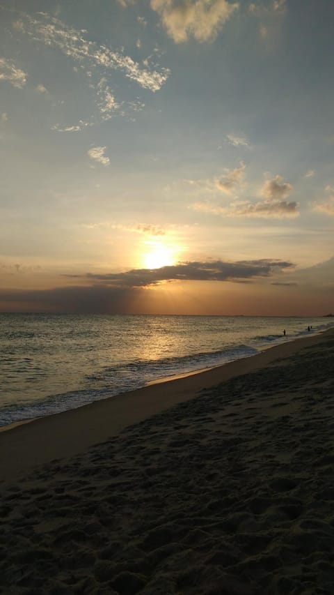 Beach, On site, Sunset