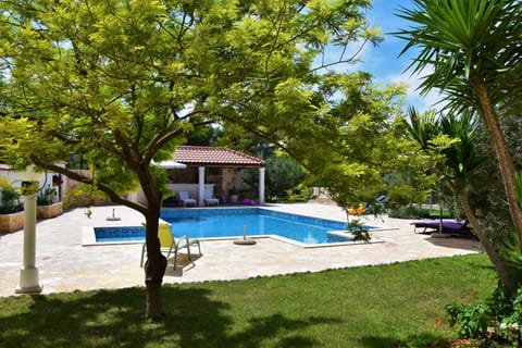 Garden, Swimming pool