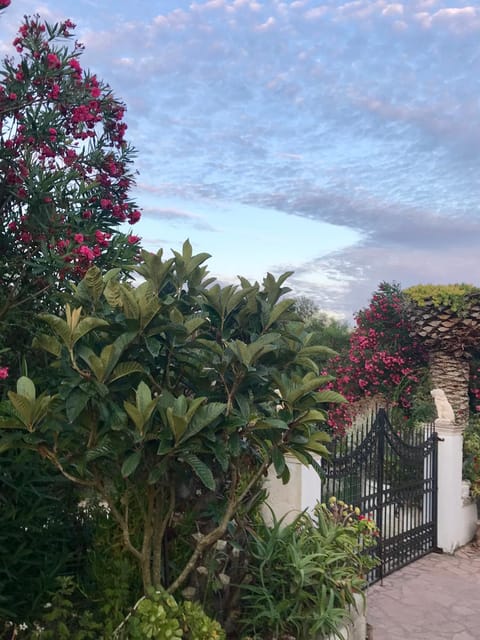 Facade/entrance, Other