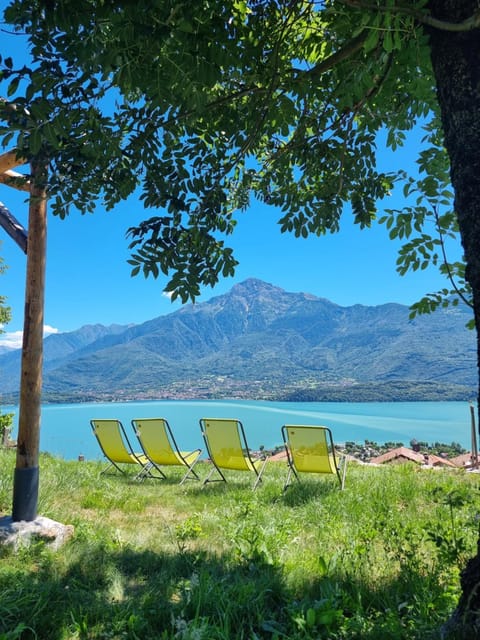 Natural landscape, Garden, Mountain view