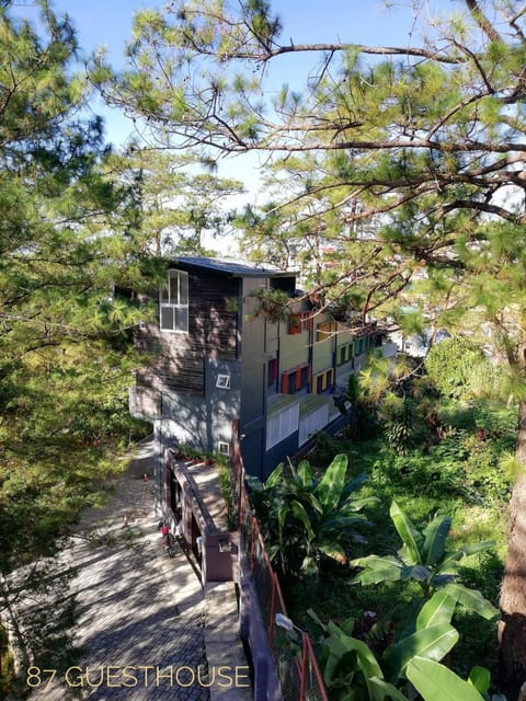 Property building, Day, Bird's eye view