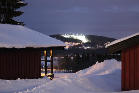 Winter