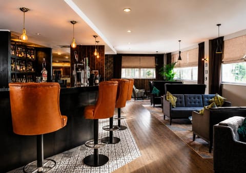 Lounge or bar