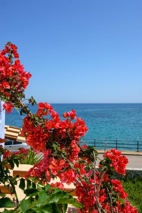 Garden, Garden view, Sea view