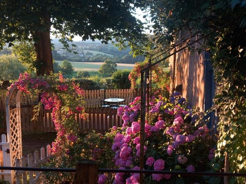 Natural landscape, Garden