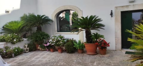 Casa Adele - Dimora del 1700 nel centro storico Bed and Breakfast in Martina Franca
