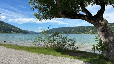 FeWo Alpenfreude mit Hallenbad Apartment in Tyrol