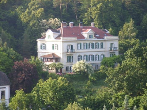 Property building, Day, Natural landscape, Bird's eye view, Garden, On site, Garden view