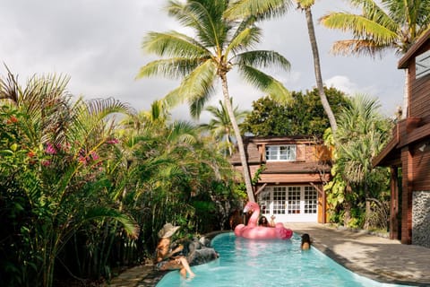 Garden, Garden view, Pool view, Swimming pool, sunbed