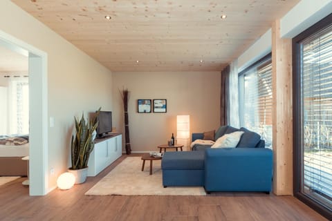 TV and multimedia, Living room, Decorative detail, Seating area