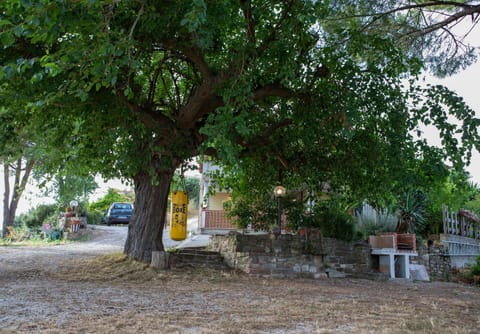 Garden, Parking