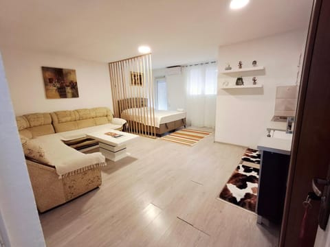 Living room, Photo of the whole room, Seating area, air conditioner