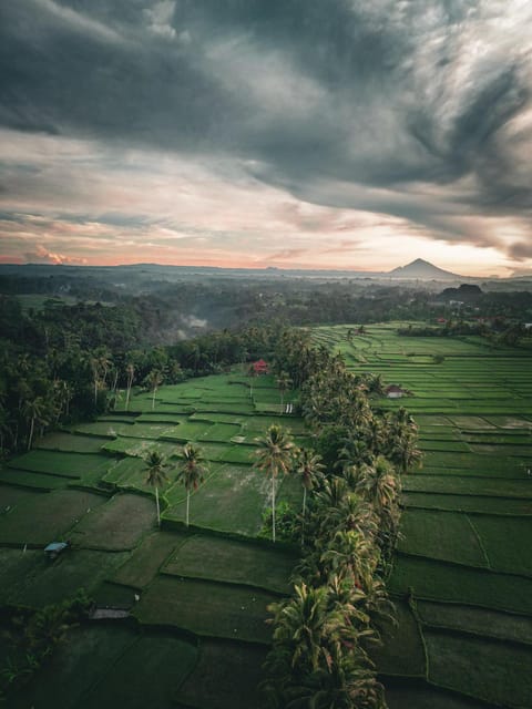 Natural landscape