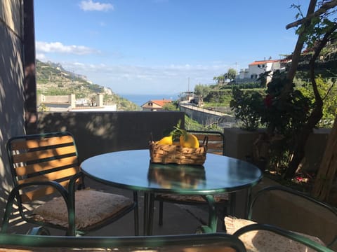 Garden, Balcony/Terrace