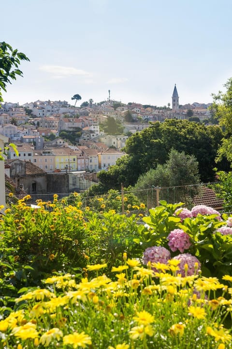 City view