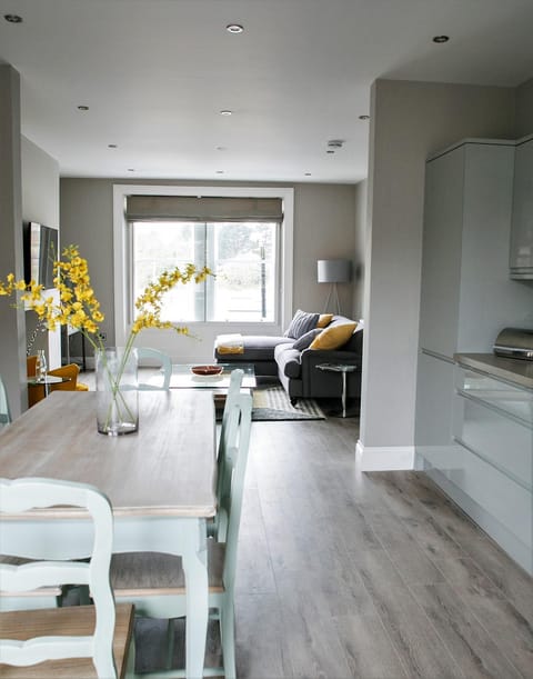 Kitchen or kitchenette, Living room, Dining area