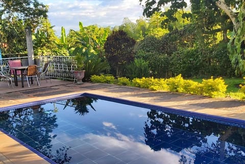 Garden, Garden view, Swimming pool