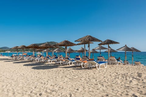 Beach, Breakfast