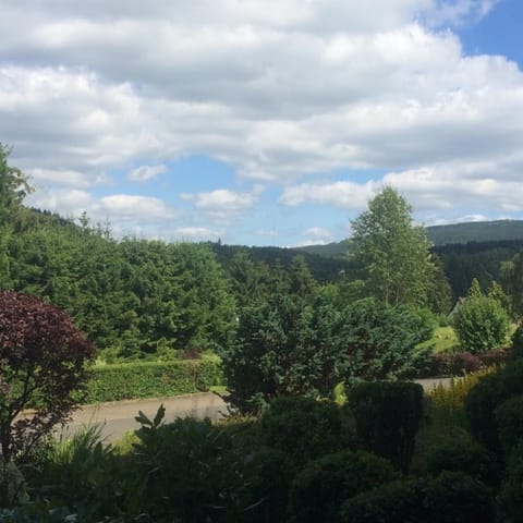 Natural landscape, Garden view