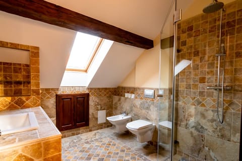 Shower, Toilet, Bathroom, bidet